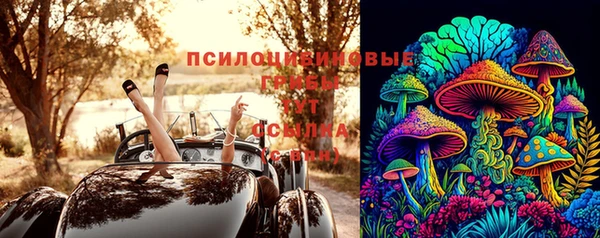 spice Арсеньев