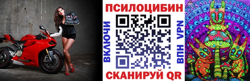 kraken зеркало Оса Псилоцибиновые грибы Psilocybe закладка