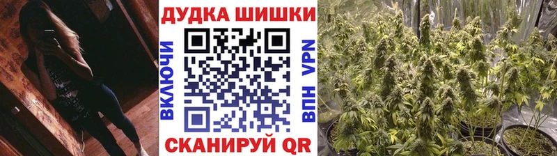 Марихуана ГИДРОПОН  Оса 